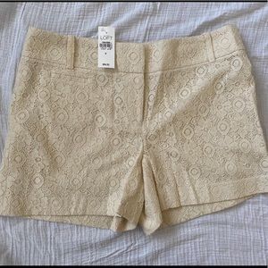 Loft brand shorts size 6